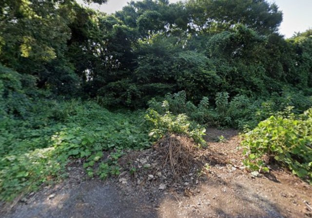坂東市土地の外観
