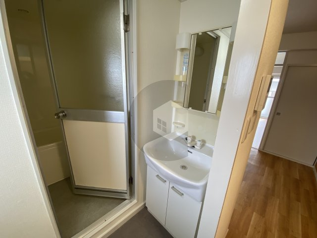 ロイヤルサカエマンションの洗面所