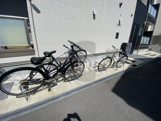 F asesiaグロリアのその他