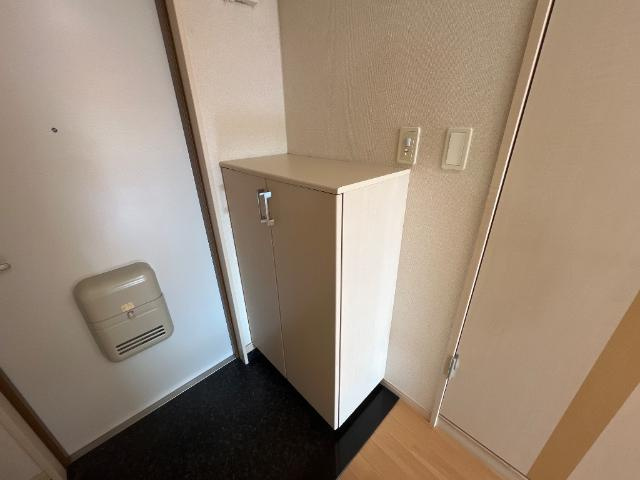 ディスティニー居能の収納|下駄箱