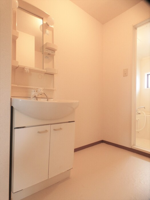 ウィルモア床波B棟の洗面所