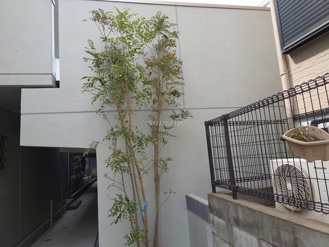 Vivaceのその他|緑があって癒されますね☆