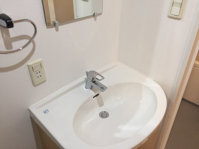 ニューシティアパートメンツ亀戸の洗面所