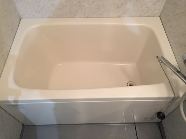 ニューシティアパートメンツ亀戸の浴室