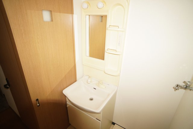 ヒルコート鳥見の洗面所