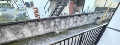 【展望】 | ラブリーローズ