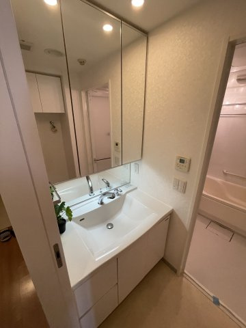 ワコーレヒルズ潮見台の独立洗面台