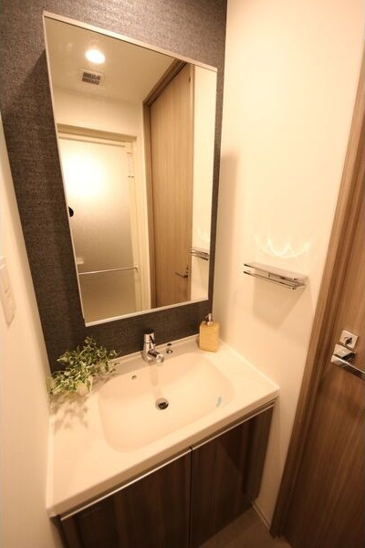 ヴェルデシア名駅南(旧ルネフラッツ名駅南)の洗面所