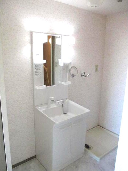 ロイヤルプレジオⅠの洗面所