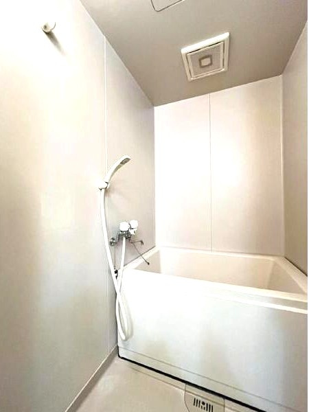 ロイヤルプレジオⅠの浴室