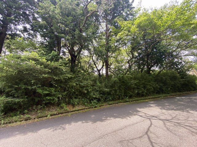 伊豆の国市　伊豆エメラルドタウンの前面道路含む現地写真