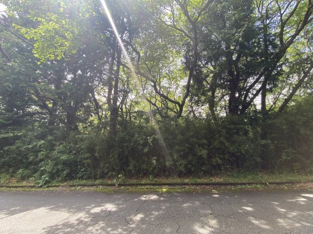 伊豆の国市　伊豆エメラルドタウンの前面道路含む現地写真