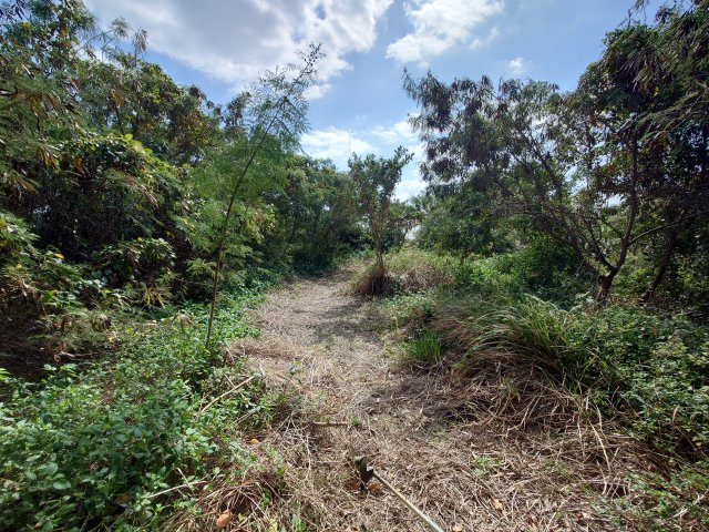 ●糸満市大渡１区画の周辺