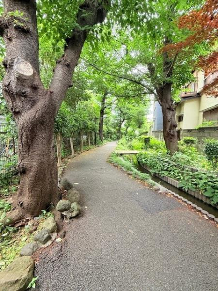 Ｓｏｌａｓｔ　Ｓｑｕａｒｅ綾瀬の周辺