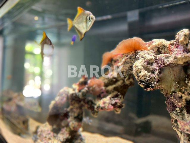 グランフォーレ箱崎プレミアのその他共用部分