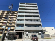 コートシャインの画像