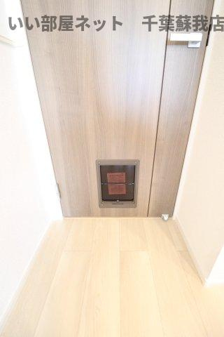ウルルⅠのその他