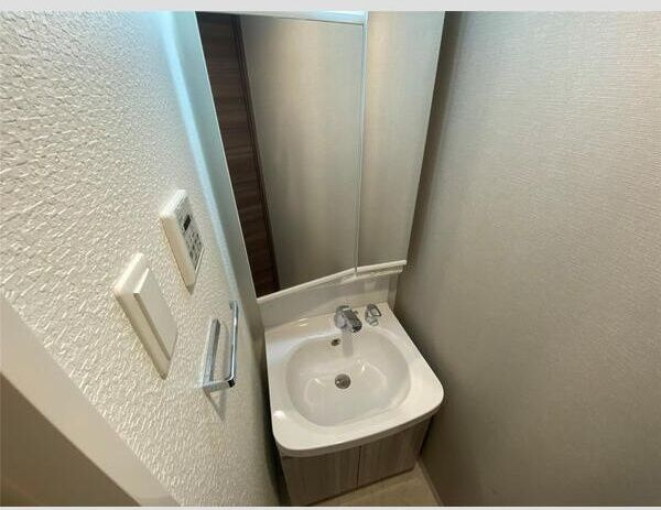 S-RESIDENCE天満Gracisの洗面所