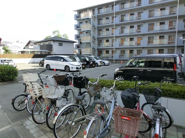 コート・ザ・ルピナスのその他