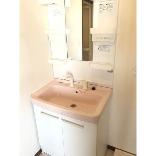 KAMITANI Ⅲ BLDの洗面所