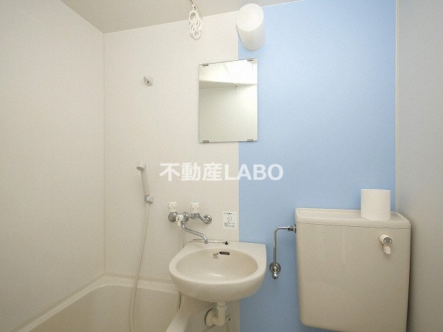 アネシオン平野の洗面所