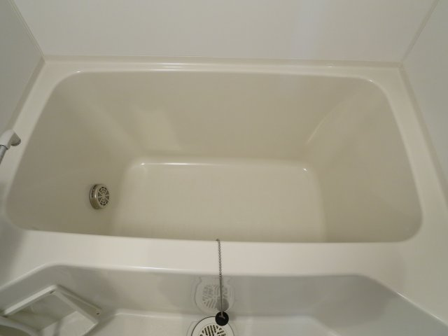 リオ・グランデ　- デザイナーズアパート -の浴室|浴槽です