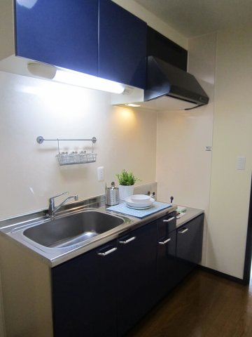 リオ・グランデ　- デザイナーズアパート -のキッチン|広々使えるキッチンです