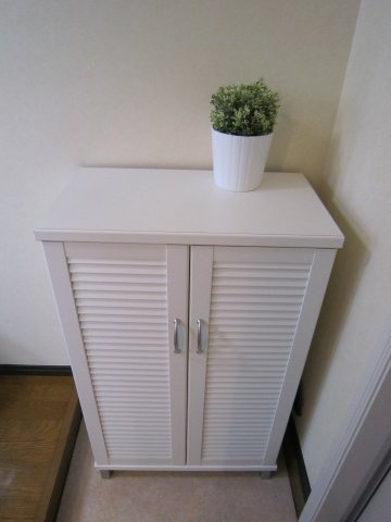 リオ・グランデ　- デザイナーズアパート -の収納|玄関にシューズボックスあります。