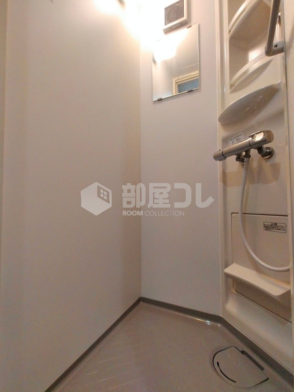 ティ・アーモ　レディ