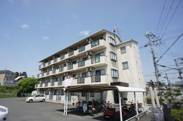 リオグランデ由希