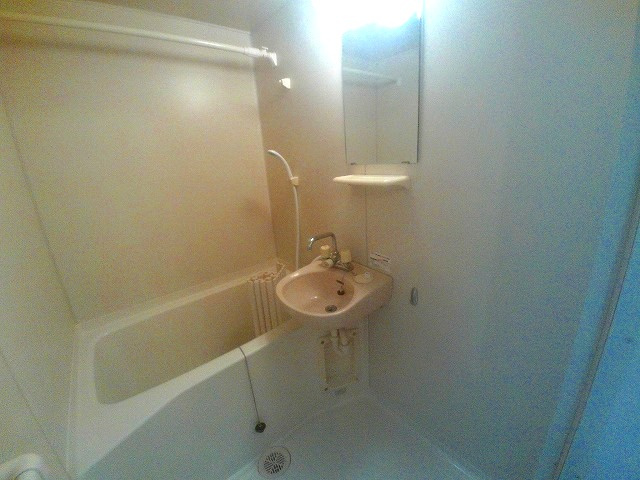 エントピアくるみの洗面所