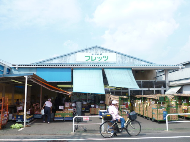 Ｐｉｎ　Ｄｅｍｅｕｒｅのその他|フレッツ　谷原店