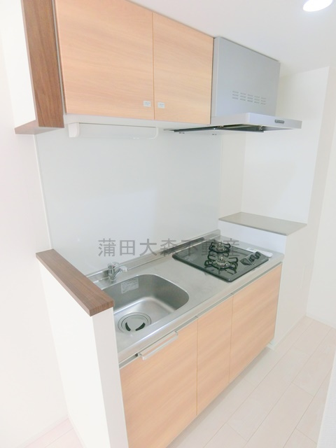 LUORE池上のキッチン|２口ガスコンロのシステムキッチン