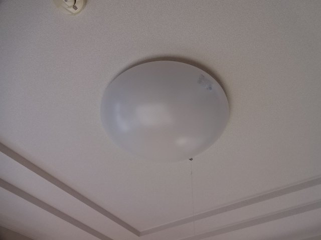 グリーングランデⅡの設備|照明