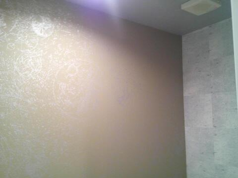 ハイセンチュリーのその他| 