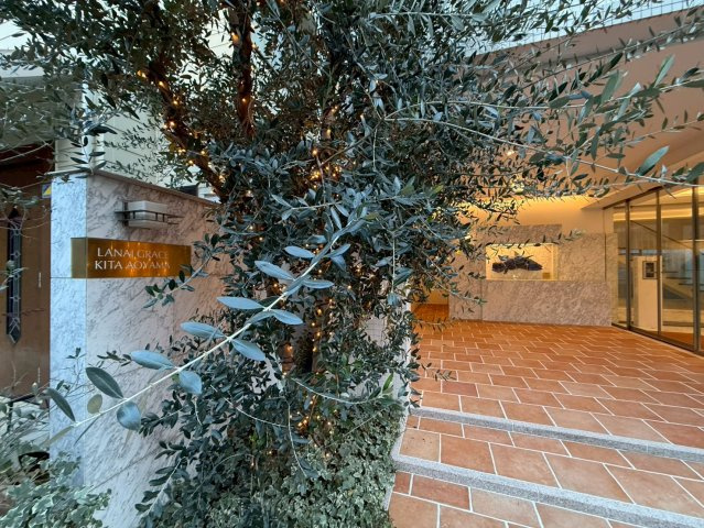 ラナイグレース北青山　201のエントランス