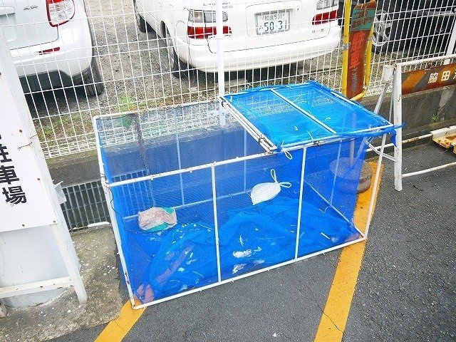 サンモール新大宮のその他共用部分|ゴミ置場
