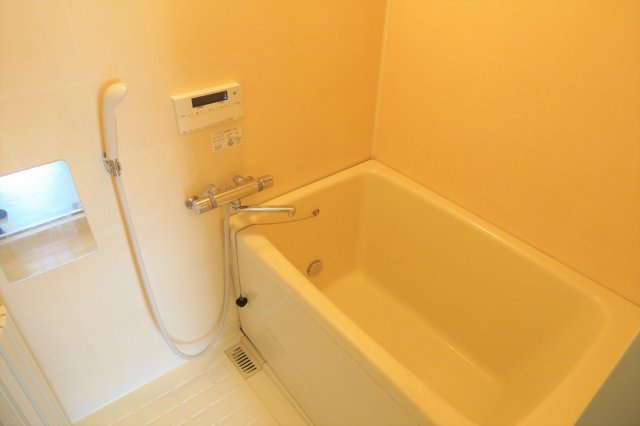 メゾン・アキバの浴室