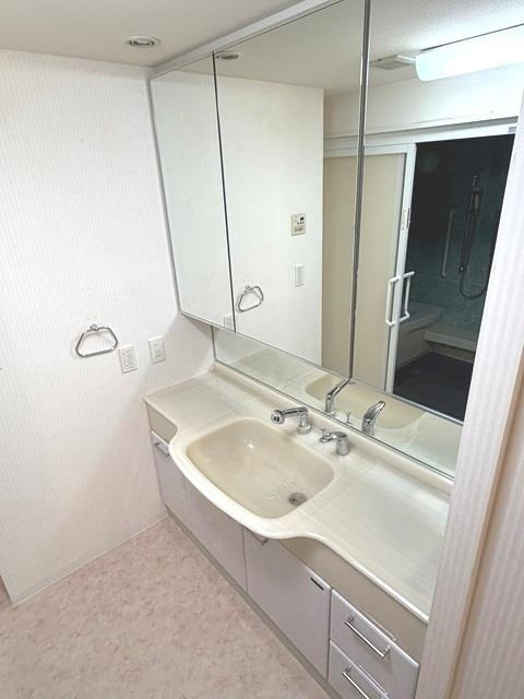 デ・リードヴィンテージ芦屋川山手光風館の洗面所