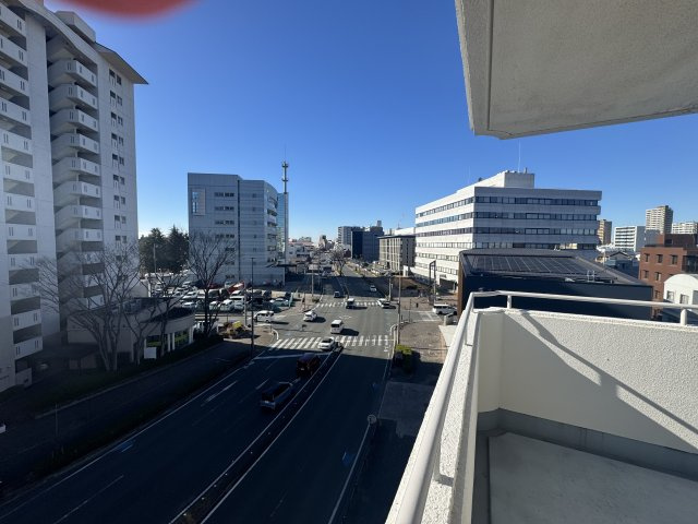 グリーンパーク吉田　605号室の展望