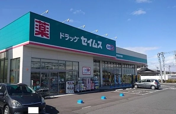 フェリシダの周辺|ドラッグセイムス東海加木屋店まで500m