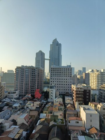 広々とした眺望