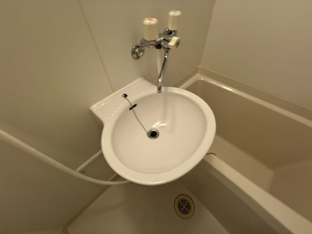 レジデンスローズの洗面所