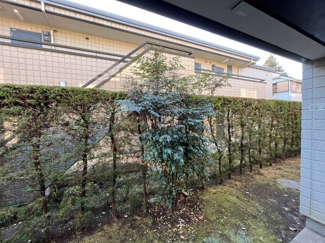 プレミールフジＡ棟の展望
