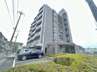 ラフィーネの画像