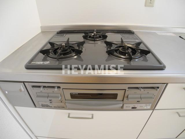 カーサ・チェレステA棟のその他