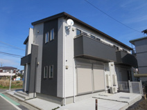 グラシアの画像