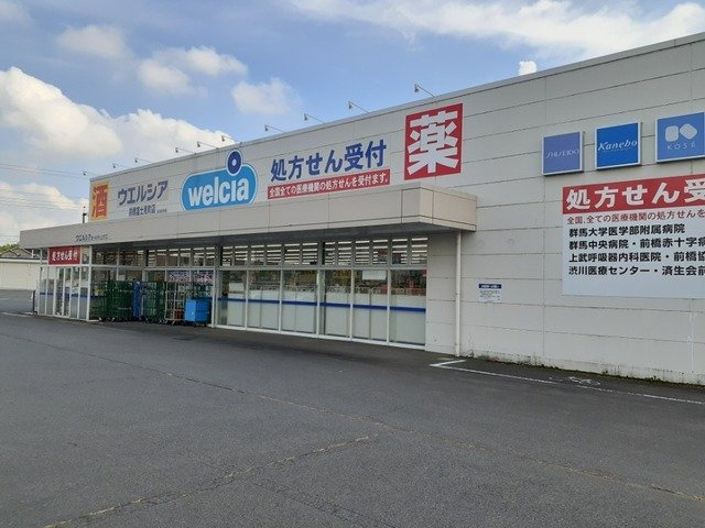 リジェールフルールＣの周辺|ウエルシア前橋富士見町店まで700m