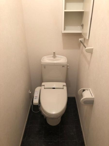 アルタグラシアのトイレ