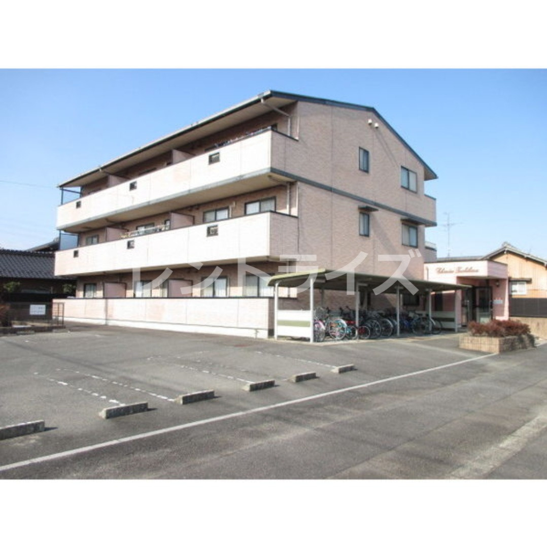 シャンテタチバナ